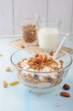 Ev yapımı yoğurt ve granola fındık ile cam kase