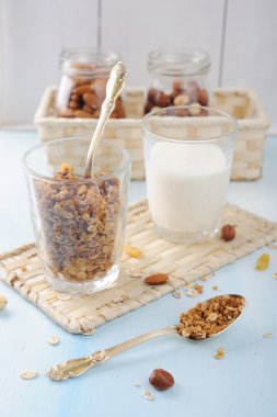Ev yapımı granola ile fındık ve bir kase yoğurt