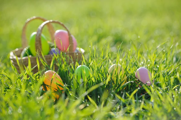 Basket Filled Easter Eggs Rabbit Decorations Outdoor — Stock Photo, Image