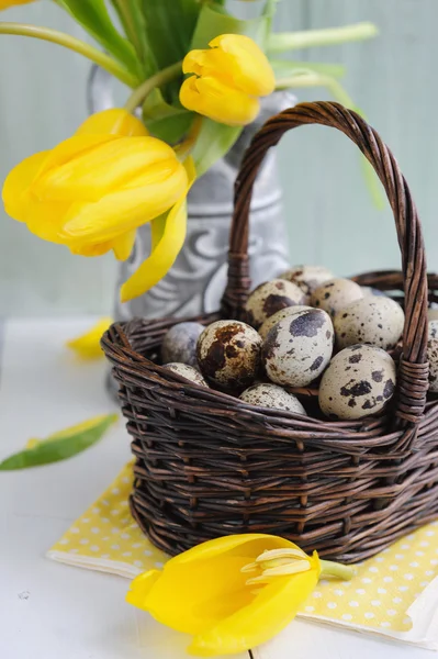 Easter Quail Eggs Basket Yellow Tulips Painted Background — Stock Photo, Image