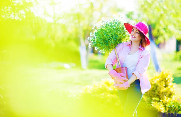 Vrouw met bloeiende Margaretha boom bloem — Stockfoto