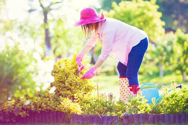 Mulher cortando planta sempre verde — Fotografia de Stock
