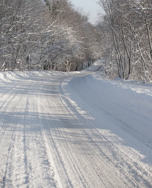 Śniegiem pokryte lasem droga — Zdjęcie stockowe