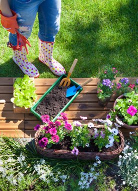 Bahçe aletleri olan kadın