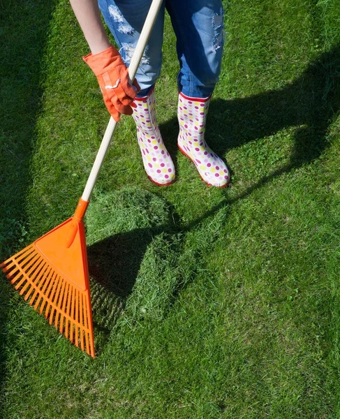 Kvinna krattar färsk nyklippt gräs — Stockfoto