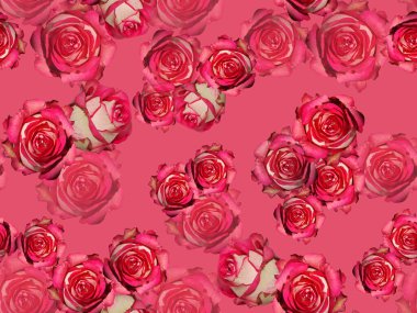 Pembe güllerle kusursuz çiçek deseni