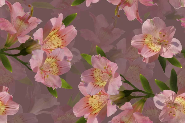 Бесшовный Цветочный Узор Розовых Лилий Сером Фоне — стоковое фото
