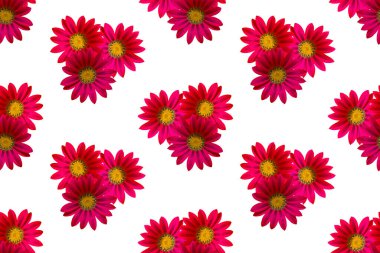 Beyaz arka planda kusursuz kırmızı çiçek deseni.