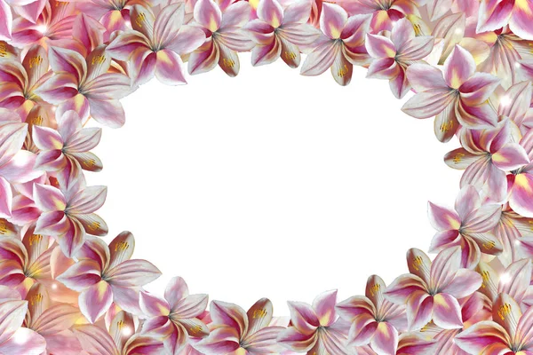 Bloemen Frame Met Delicate Roze Lelies — Stockfoto
