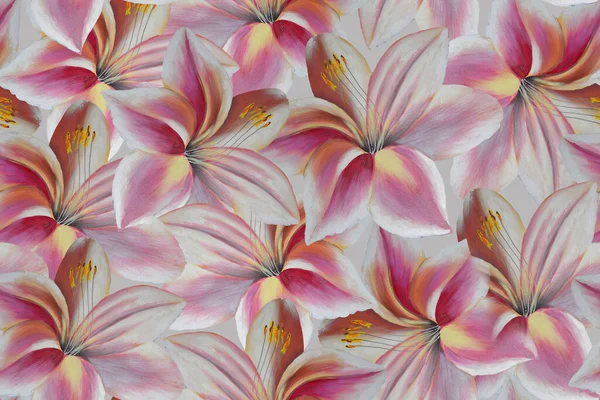 Seamless Pattern Delicate Pink Lilies — Stock Photo, Image