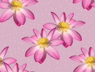 Pembe arka planda narin nilüfer çiçekleri olan kusursuz bir desen..