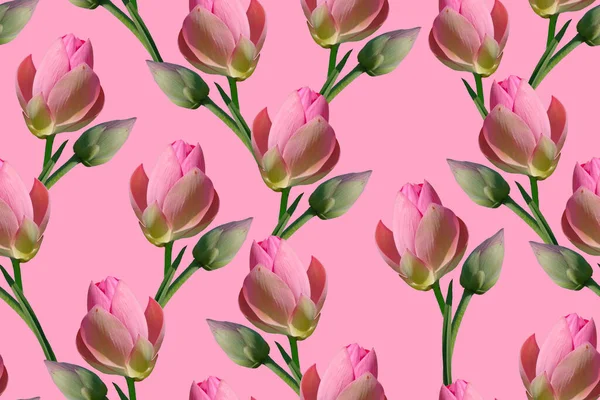 Απρόσκοπτη Μοτίβο Ροζ Λουλούδια Λωτού Ροζ Φόντο — Φωτογραφία Αρχείου
