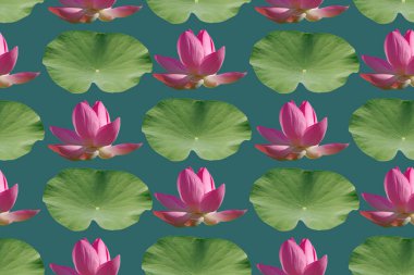 Pembe nilüfer çiçekleri mavi arka planda kusursuz desen..