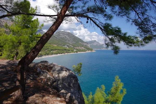 Güzel Türk Manzarası Sahilde Yeşil Bitki Örtüsü Yüksek Dağlarla Açık — Stok fotoğraf