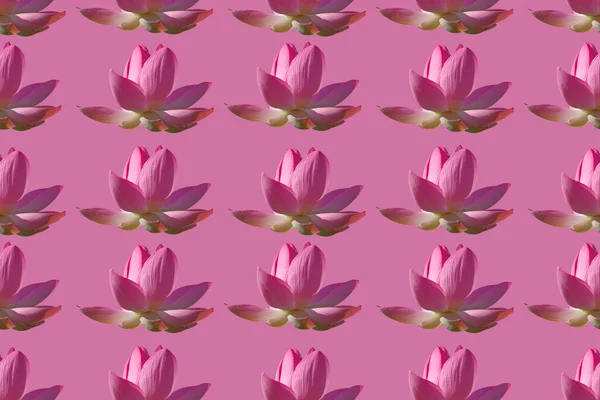 Patrón Sin Costuras Con Flores Loto Rosa Sobre Fondo Rosa — Foto de Stock