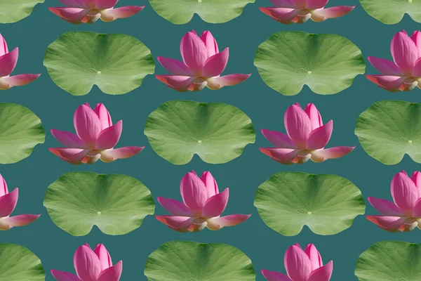 Seamless Pattern Pink Lotus Flowers Blue Background — Stock Photo, Image