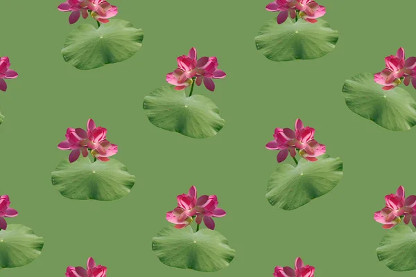 Patrón Sin Costuras Con Flores Loto Rosa Sobre Fondo Verde — Foto de Stock