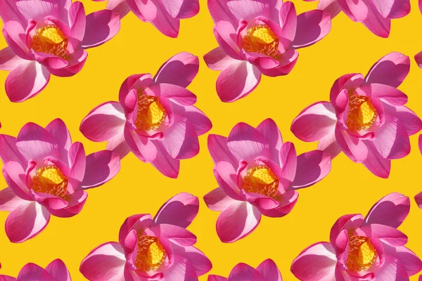 Бесшовный Узор Розовыми Цветами Лотоса Желтом Фоне — стоковое фото