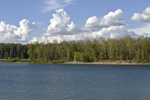 Río Columbia y naturaleza circundante Oregon . — Foto de Stock