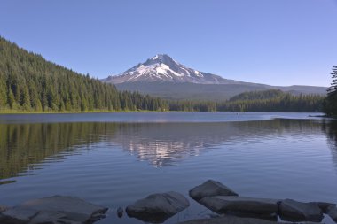 Trillium göl ve Mt. Hood Oregon state.