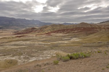 Boyalı Doğu Oregon state tepelerde.