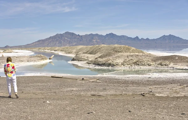 Salt Lake flats Nevada state. — Stockfoto