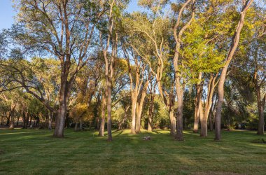 Maryhill Sanat Ağaçları ve Manzara Müzesi Washington Eyaleti.