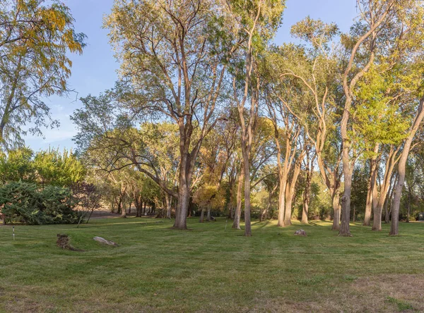 Maryhill Museo Alberi Arte Terreni Paesaggistici Stato Washington — Foto Stock