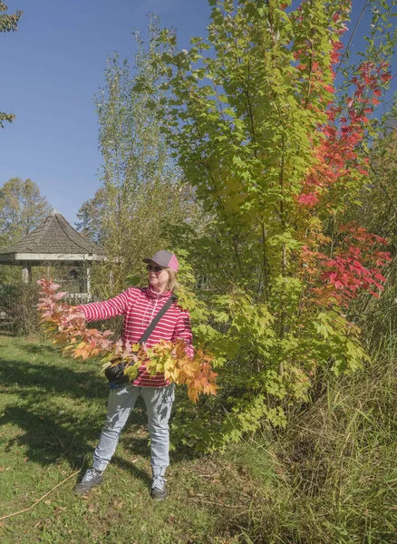 Herbstfarben Und Ein Moment Der Bewunderung Oregon — Stockfoto