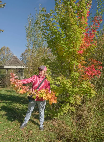 Herbstfarben Und Ein Moment Der Bewunderung Oregon — Stockfoto
