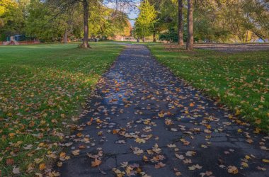Oregon 'da halka açık bir parkta sonbahar renkleri.
