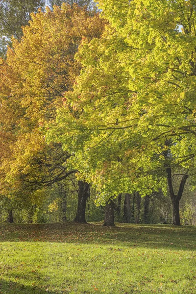 Cores Outono Uma Paisagem Parque Público Estado Oregon — Fotografia de Stock