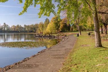 Blue Lake Park Oregon 'da renkli sonbahar renkleri.