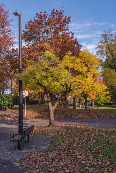 Φθινόπωρο Χρώματα Ένα Δημόσιο Πάρκο Gresham Oregon Κατάσταση — Φωτογραφία Αρχείου