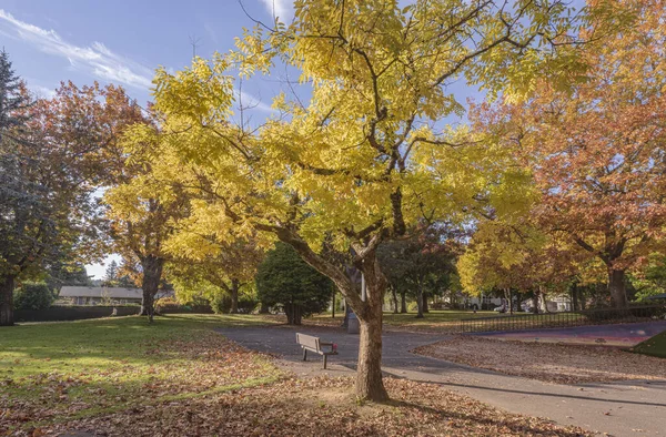Herbstfarben Einem Öffentlichen Park Bundesstaat Oregon — Stockfoto