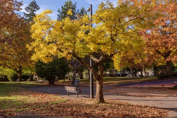 Herbstfarben Einem Öffentlichen Park Bundesstaat Oregon — Stockfoto