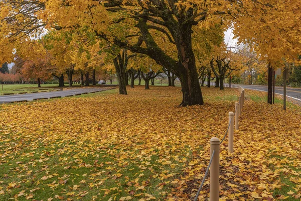 Saisonale Veränderungen Herbstfarben Der Natur Oregon State — Stockfoto