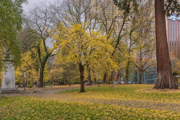 Innenstadt Portland Oregon Öffentlichen Park Herbst Farben — Stockfoto