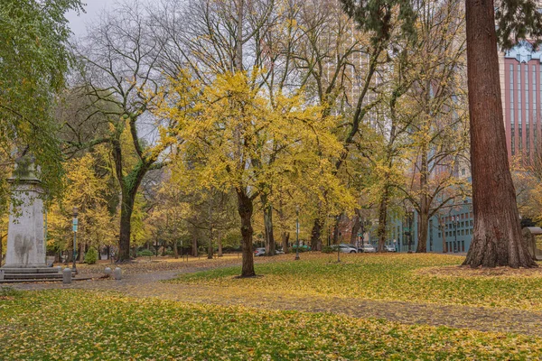 Portland Şehir Merkezi Oregon Halk Parkı Renkleri — Stok fotoğraf