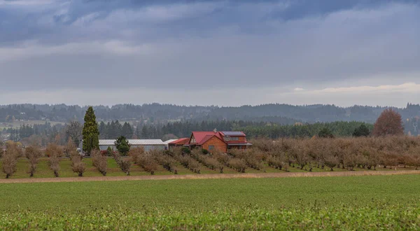 Kraj Żyjący Użytkach Rolnych Krajobrazie Wiejskim Stanie Oregon — Zdjęcie stockowe