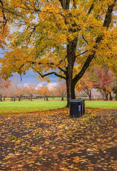 Tiempo Tormentoso Parque Público Paisaje Colorido Oregon —  Fotos de Stock