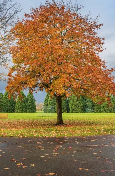 Tiempo Tormentoso Parque Público Paisaje Colorido Oregon — Foto de Stock