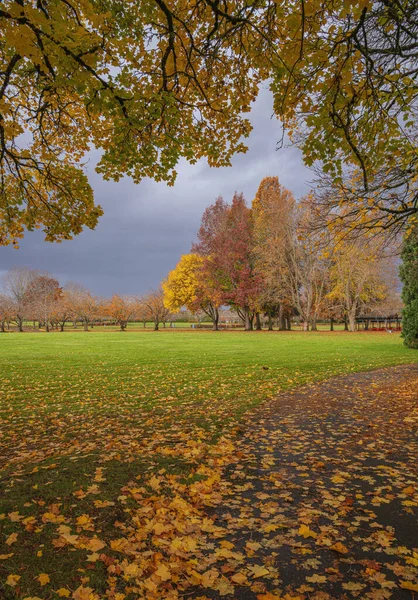 Tempo Tempestoso Parco Pubblico Paesaggio Colorato Oregon — Foto Stock