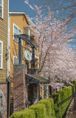 Gresham Oregon 'da apartman kompleksi ve bahar çiçek açıyor..
