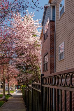 Gresham Oregon 'da apartman kompleksi ve bahar çiçek açıyor..
