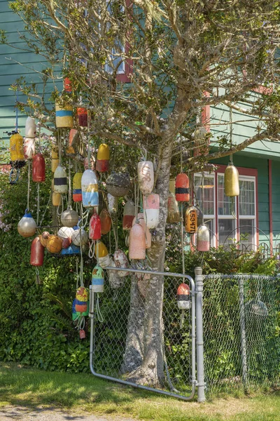Old Netting Floats Decorating Tree Neighborhood Long Beach Washington State — Stock Photo, Image