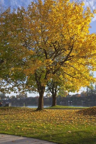 Autumn colors in Blue Lake park Oregon. — Stock Photo, Image