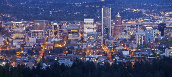 オレゴン州ポートランド市の照明や建物のパノラマ. — ストック写真