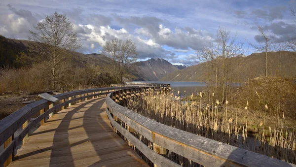 Cesta k jezeru poblíž mt. St. Helen. — Stock fotografie