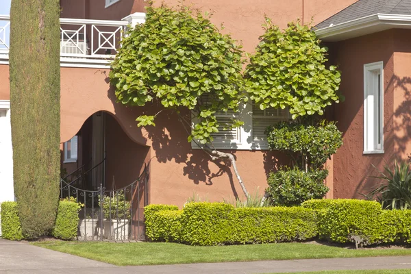 Casas residenciales cerca de Portland Oregon . — Foto de Stock